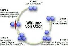 Ozonbehandlung München