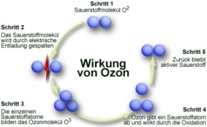 Ozonbehandlung München